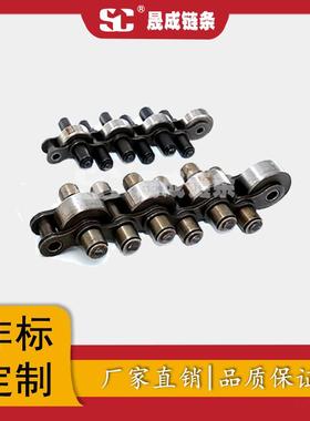12NOJS-43C28全钢倍速链，晟成链专业生条产-各种B短节距倍速链