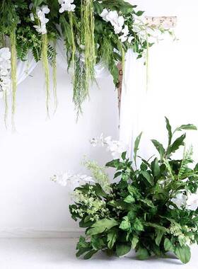 森仿真植壁挂拱绿系门HED装饰花艺婚墙礼舞台背景店面壁布置长花