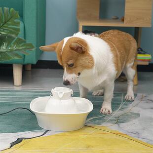 宠物饮水机猫陶瓷2.1L喷泉喂水器静循音过PetSafe狗滤活水饮水器