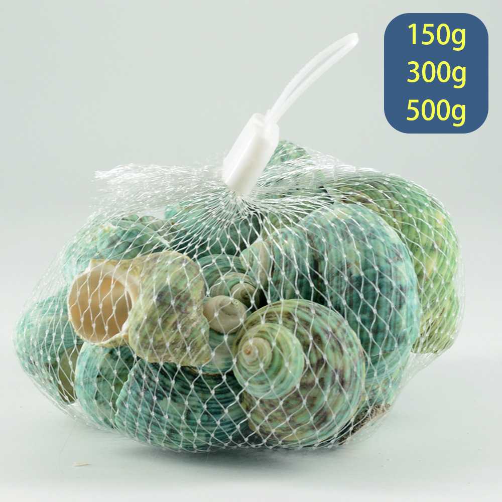 新款直销福海人家/网袋绿螺 贝壳海螺寄居蟹替换壳鱼缸造景摆件水