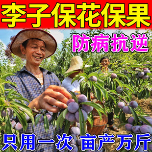李子保花保果药防落果树坐灵强力授粉沾花防裂果膨大素专用叶面肥