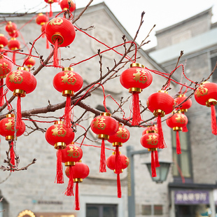 新年春节防水福字LED中式小灯笼户外过年装饰灯挂树挂件庭院布置