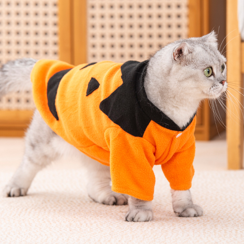 猫咪衣服秋冬加绒两脚万圣