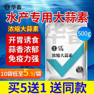 华畜浓缩大蒜素粉水产养殖专用鱼用钓鱼黑坑野钓鱼食粮开胃诱食剂