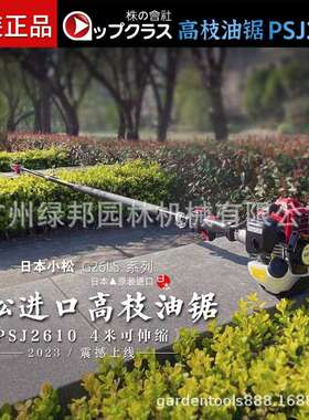 26LS高枝锯园林G26LS修剪高G枝油锯加长油锯1PSJ260高空油锯