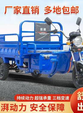 电递动轮车拉车货载重王农用车摆摊车家用电瓶三三轮车89565快车