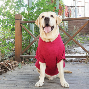 金毛防掉毛中大型犬幼犬宠物加厚棉卫衣 拉布拉多衣服大狗狗秋冬装