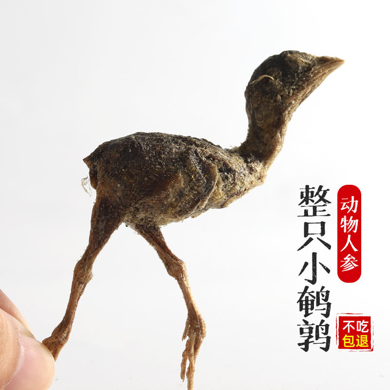 宠物猫咪冻干鹌鹑幼猫零食营养生骨肉纯肉冻干增肥猫粮小鹌鹑肉干