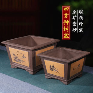 四方紫砂花盆特大号君子兰花盆室内阳台大口径紫砂盆景盆33cm+25c