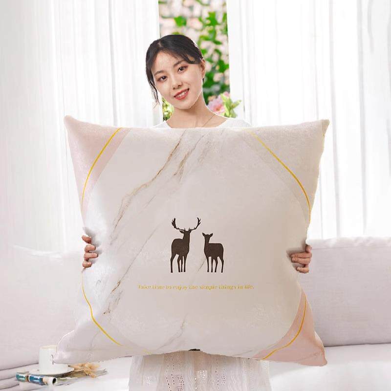 新款直销客厅沙发抱枕大号靠枕套罩床头大号靠背可拆洗60x60靠垫