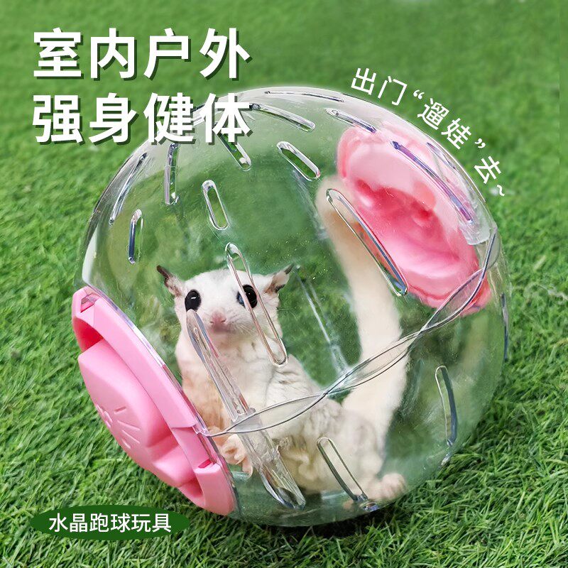 仓鼠跑球蜜袋鼯玩具花枝鼠金丝熊运动跑球大号透明解闷自嗨不卡脚