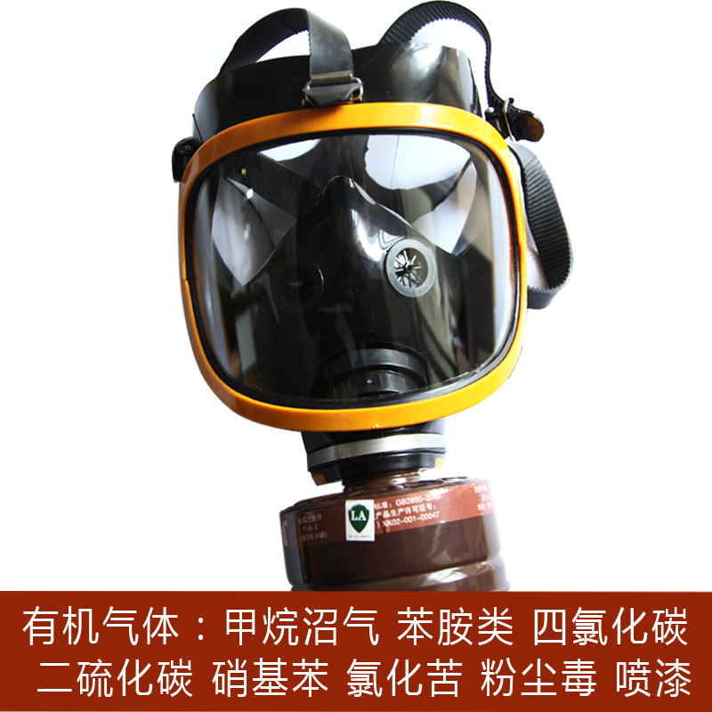 大视野防毒气面具甲醛氯气苯粉尘喷油漆硫化氢过滤式火灾防烟面罩