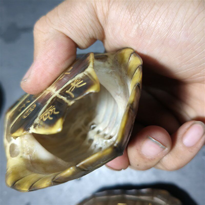 天然乌龟壳真龟甲刻字六爻龟甲占中华草龟壳王八壳完整送铜钱配件