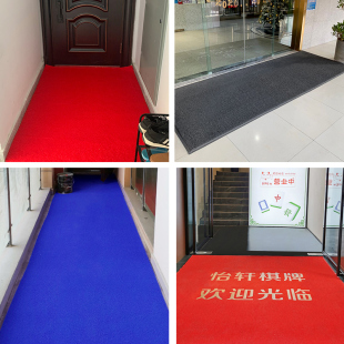 入户门地毯门口进门除尘脚垫防水防滑垫子门垫家用纯色 丝圈地垫