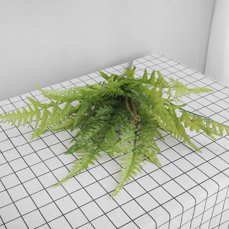 大号把束带叶蕨叶 排草植物墙婚庆家居装饰波斯叶大把束蕨草蕨类