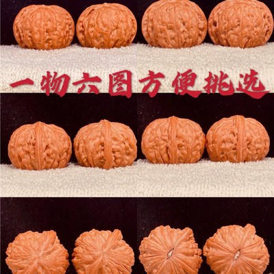 野生三角闷白狮子头 文玩一物一图 老树红皮大粗筋精品平果圆核桃