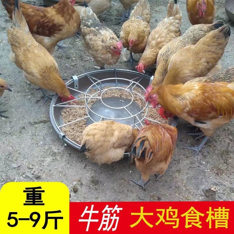 新款圆形喂鸡料盆小鸡仔猪保育料槽小猪食槽鸭鹅牛筋饲料槽喂食器