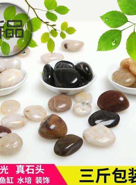 布景风水纯白苏派造景水草石子石春卵石石头白色用品鱼新款缸