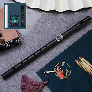 Irish 极速Woodwind Tin Whistle Instruments Musical