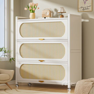 架子 2025新款 落地式 鞋 柜家用置物柜客厅卧室靠墙收纳柜带门防尘鞋