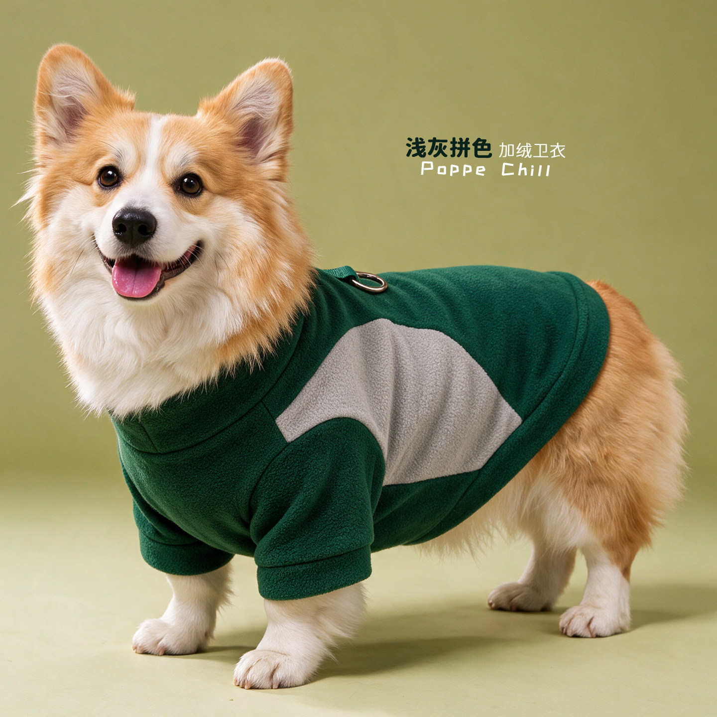 1-85斤秋冬加绒宠物狗狗衣服