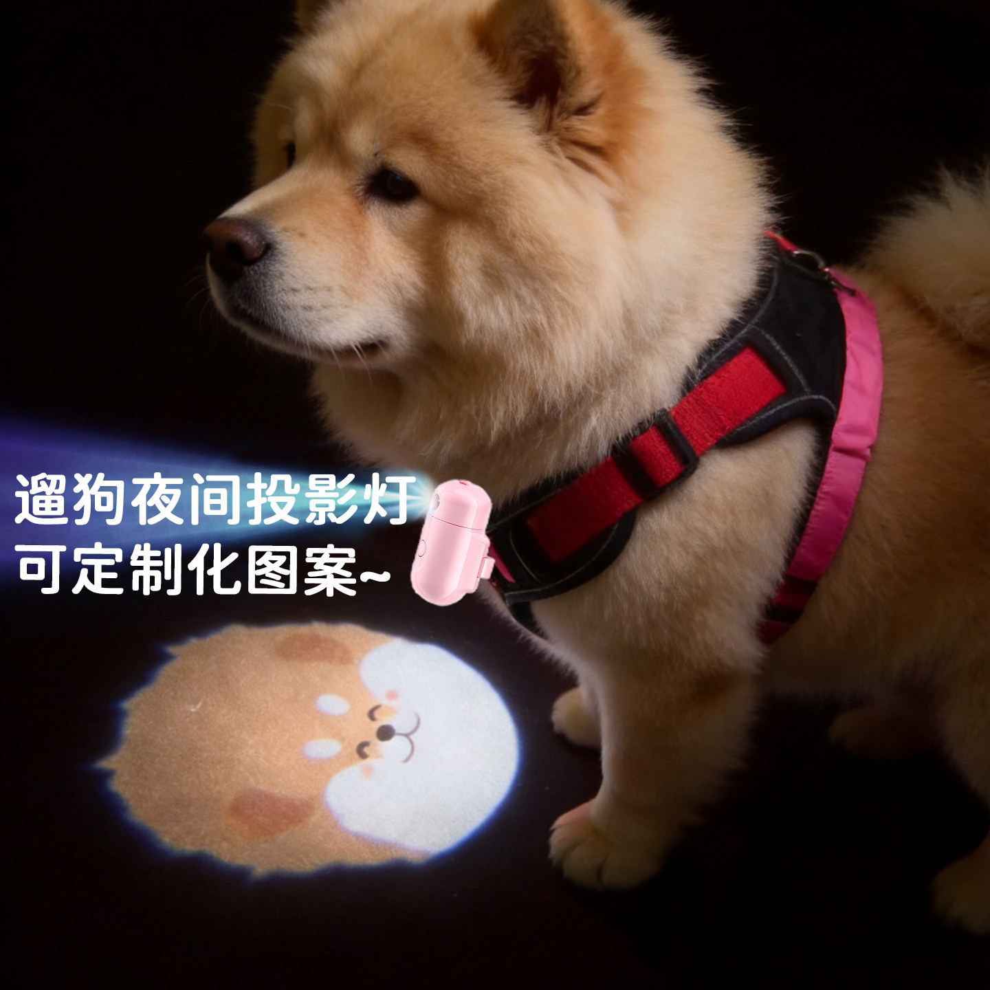 【可定制图案】狗狗投影夜灯遛狗