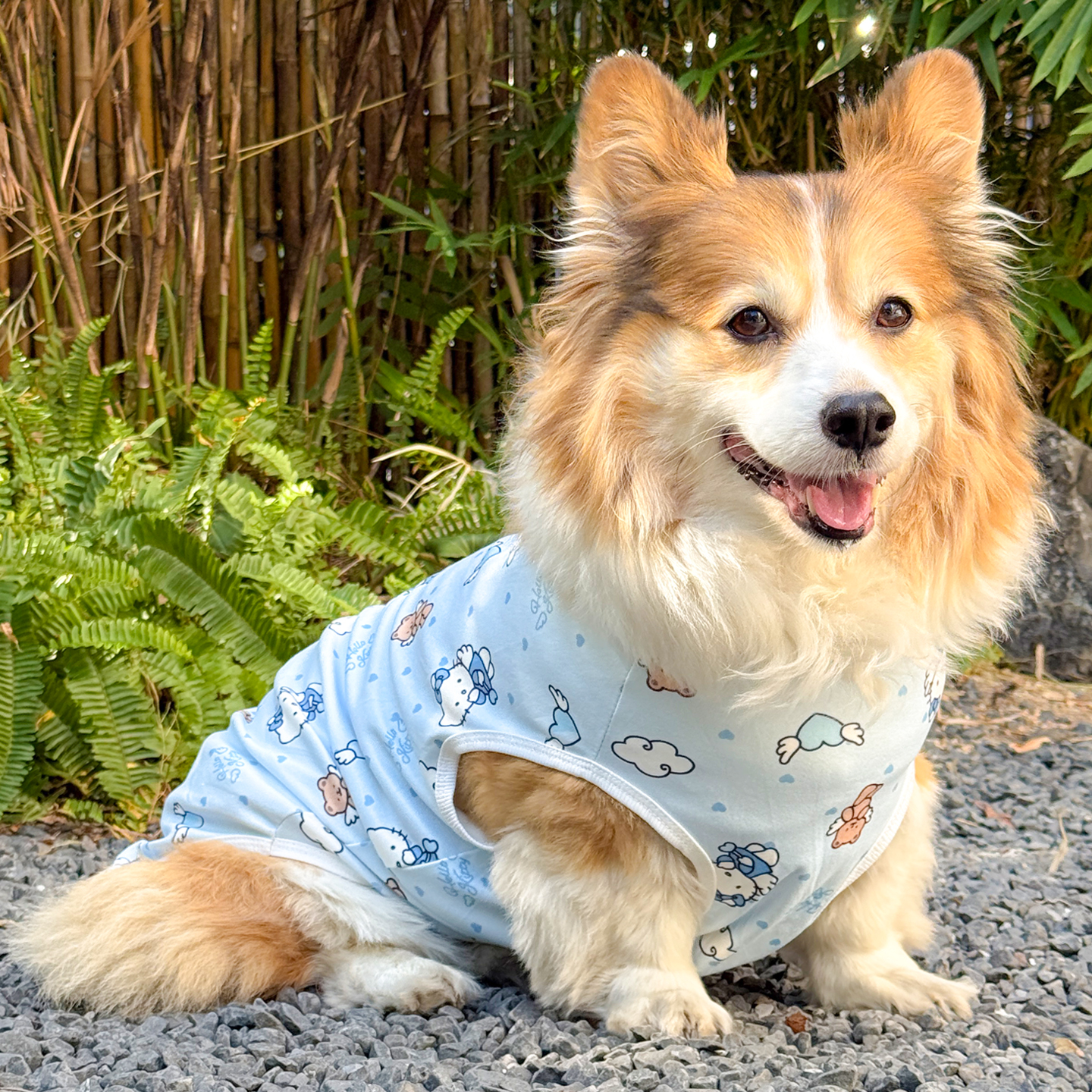 【保暖德绒】5-70斤狗狗秋冬衣服