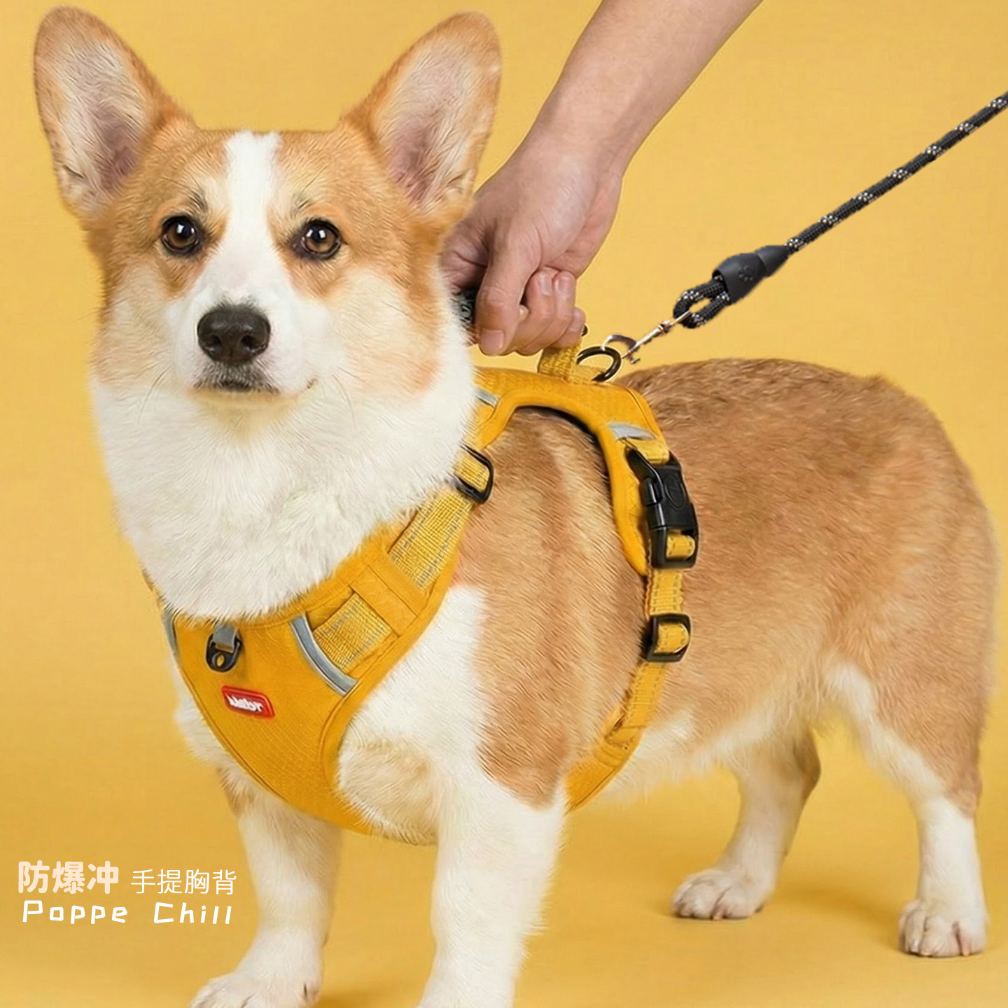 遛狗狗牵引绳中小大型犬宠物胸背式专用柯基防爆冲不勒脖马犬博美
