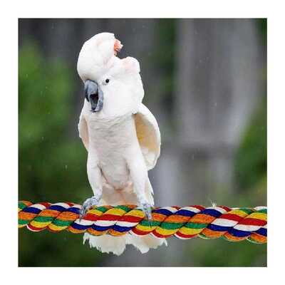极速Parrot Perch Stand Bird Climbing Rope Bird Shower Perche