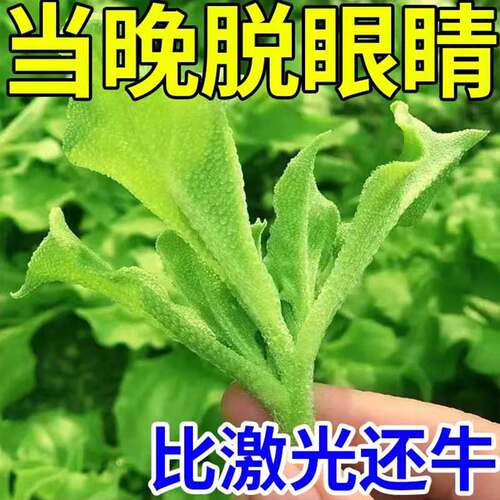 极速【10倍渗透冶视力】抗疲劳缓解眼干眼涩疲劳非贴学生青少年护