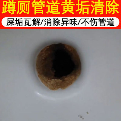 蹲厕管道壁除垢清洁剂洗厕所马桶强力去污去黄除臭老顽固熔解剂xj