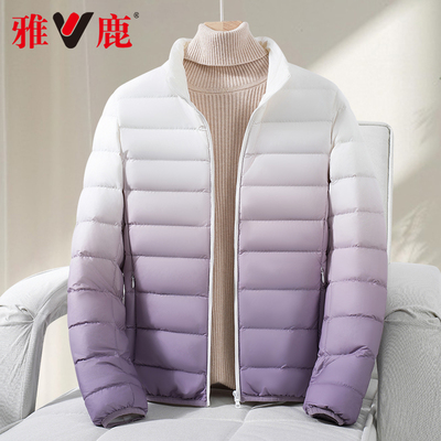雅鹿正品冬季韩版轻便保暖短款新款时尚渐变女立领羽绒服女款外套