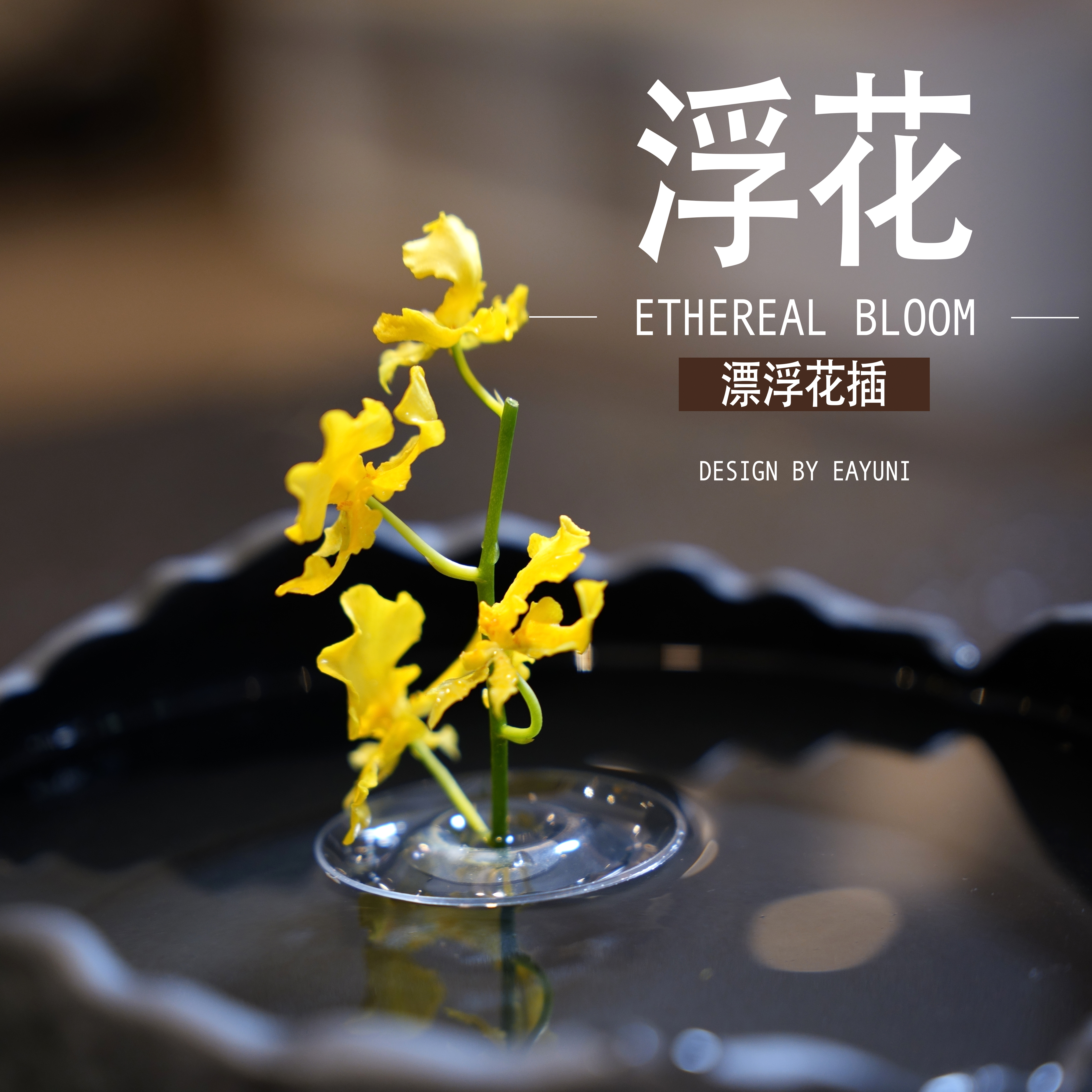 漂浮花插新款简约侘寂风插网红花器鲜花水培器皿花盆花瓶客厅布置
