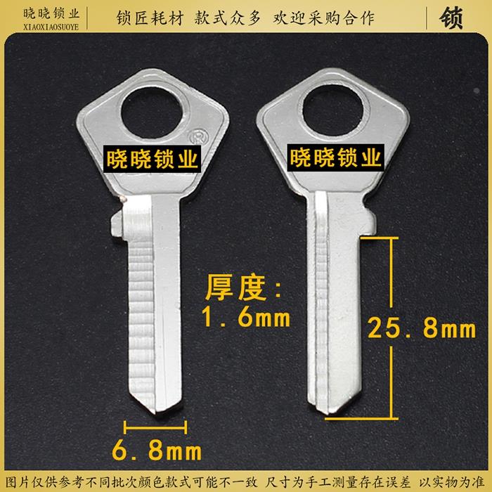 [AM213]长 钥匙胚子 大  右