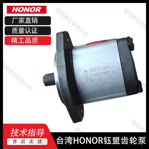 HONOR钰盟齿轮泵1GG1P05R 1GG1P01R 1GG1P02R 1GG1P09R 液压油泵