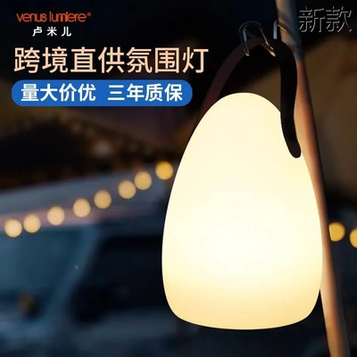 跨境电商氛围灯夜灯露營燈充电款卧室高级感手提台灯桌面氛新款
