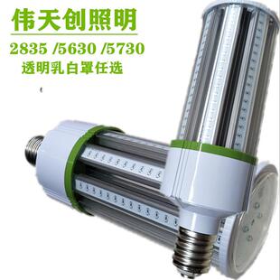 6W7W8W9W10W12W15W18W20W21W22W30W36W小功率庭院灯玉米灯壳套件