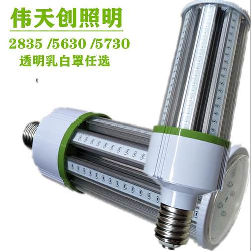 6W7W8W9W10W12W15W18W20W21W22W30W36W小功率庭院灯玉米灯壳套件