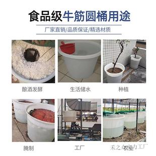 厚牛筋塑料加桶圆储桶大号水桶叉车特桶厚耐用水198桶酿酒发酵桶