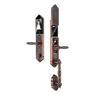 高端复古院中式 指锁双开门高端轻庭奢智能RPI锁纹多功能别墅密码