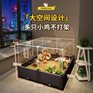 饲养箱笼加密芦鸡号专丁用育铁雏鸡笼子超大养ORW养殖殖家用大号