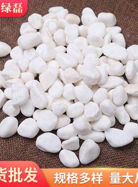 厂家雪石花MCY鹅白汉白白色卵白色石子白色雨花玉石白云石