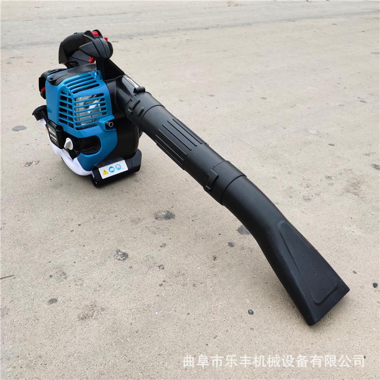 二冲程RQW大功油率吹雪机轻便灵路式活面吹叶机背负四冲程汽吹风