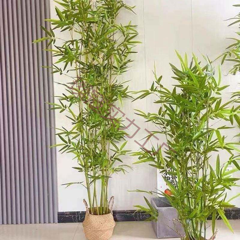 20红25新款网新款真竹子璨寇实力室内装饰假竹子造景装饰仿盆栽竹