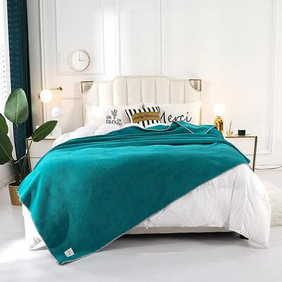 4.11-1冬季新款沙发休闲双面面加绒厚毛毯办公室午学生睡宿舍纯色