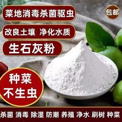 种菜专用石灰粉杀虫消毒干燥剂