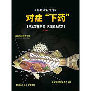新款直销云上飘秋冬低温专用千里香钓鱼小大全野钓黑坑鲫鲤鱼开口