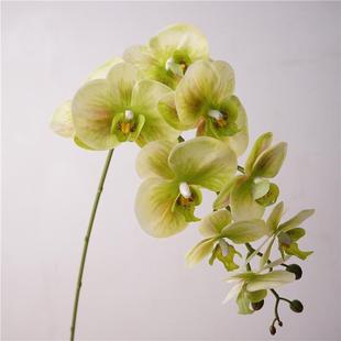 直销轻奢风高品质手感蝴蝶兰仿真花假花客厅餐桌玄关桌面花艺 新款