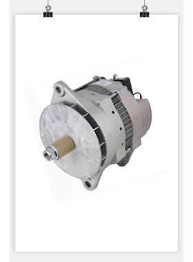 LEECE NEVILLE BLD3314GH发电机4100763发电机