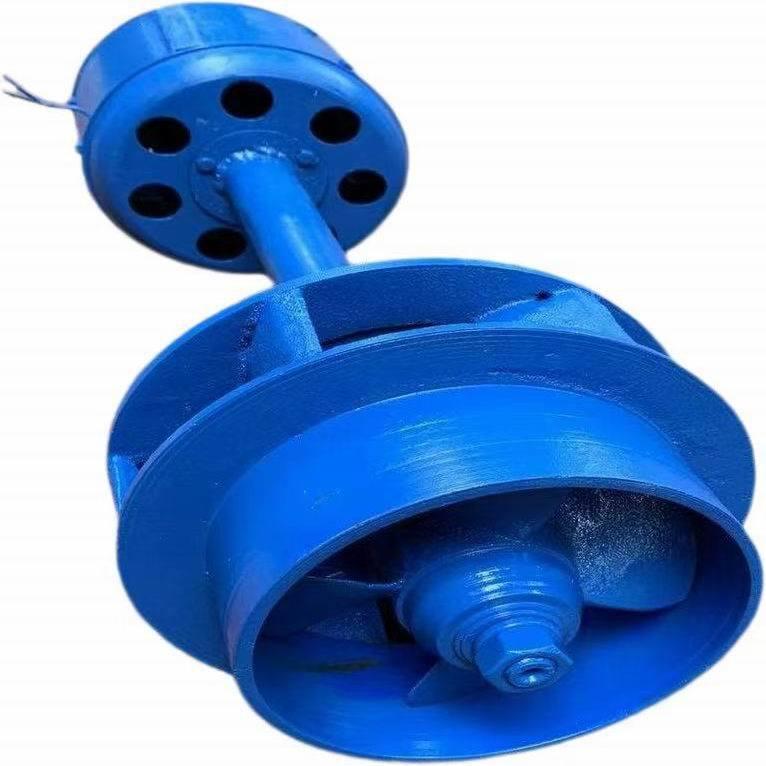 厂家2000w单相轴流式水轮发电机组2kw轴流式水力发电机组